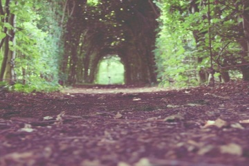 sander-zelhem-green-passage