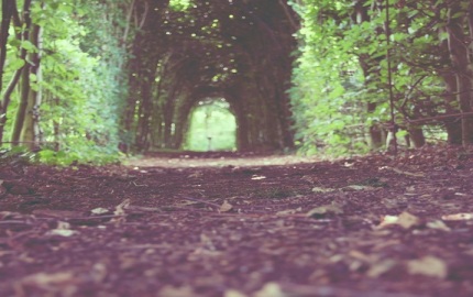 sander-zelhem-green-passage