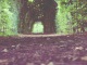 sander-zelhem-green-passage